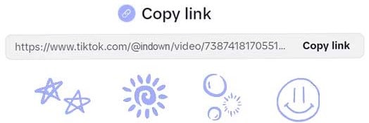 Copy Link for TikTok Video Download